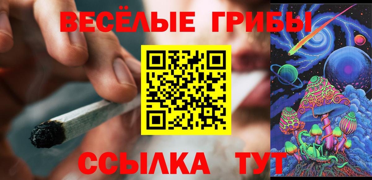 Псилоцибиновые грибы прущие грибы Нижний Тагил